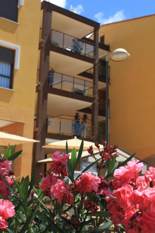 Spacious Apartment With Large Private Garden In Palm Mar エクステリア 写真