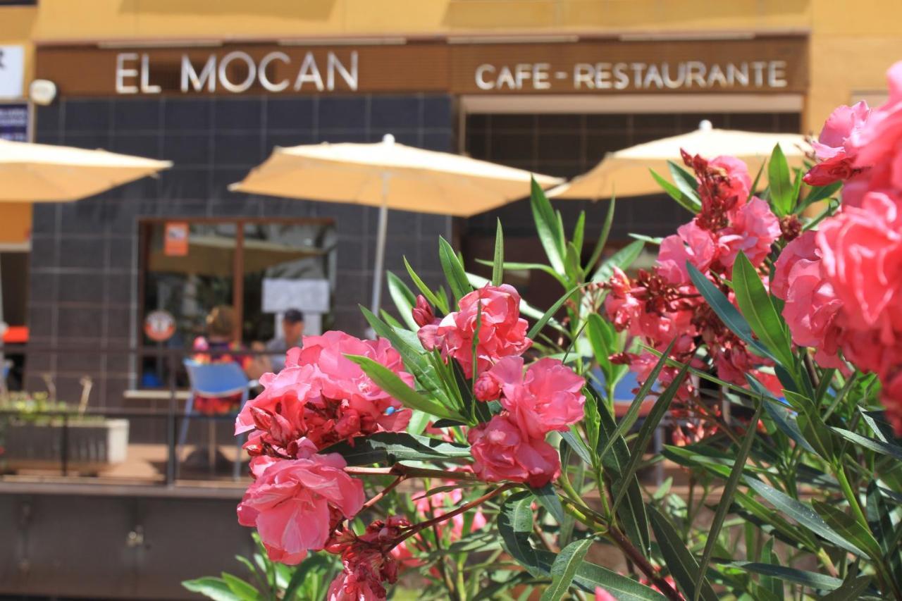 Spacious Apartment With Large Private Garden In Palm Mar エクステリア 写真