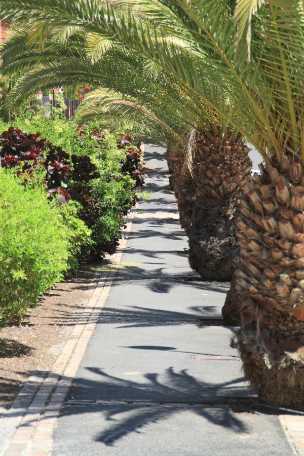 Spacious Apartment With Large Private Garden In Palm Mar エクステリア 写真